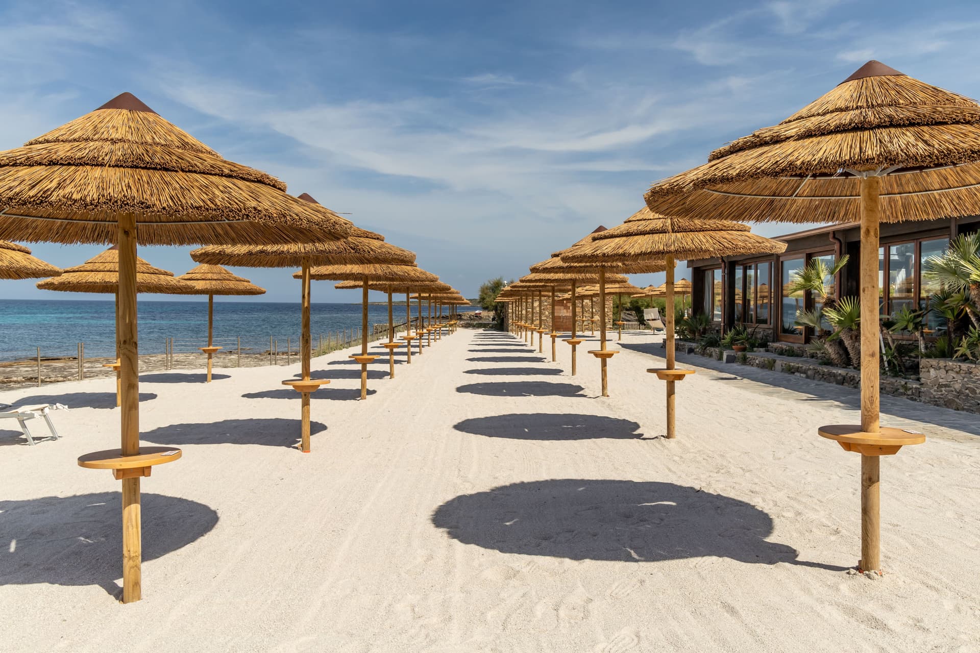 Featured image for the article